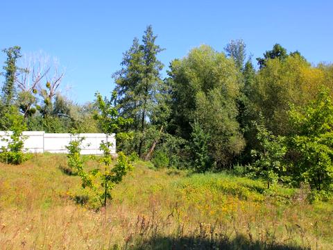 участок по адресу 