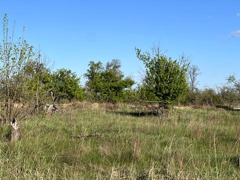 ділянка за адресою Остромирська вул.