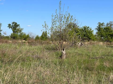 ділянка за адресою Остромирська вул.