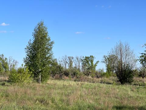 ділянка за адресою Остромирська вул.