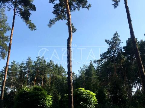 дом по адресу Бучанський