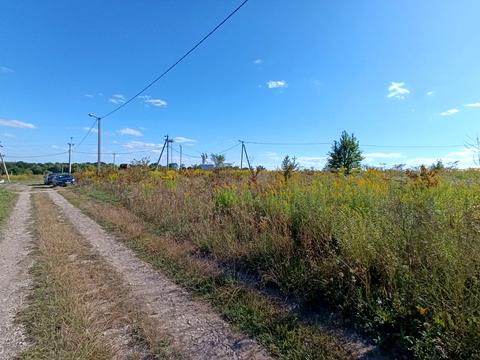 ділянка за адресою СТ Грузевицький-1