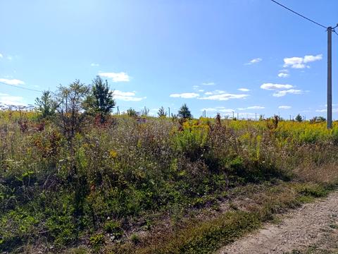 ділянка за адресою СТ Грузевицький-1