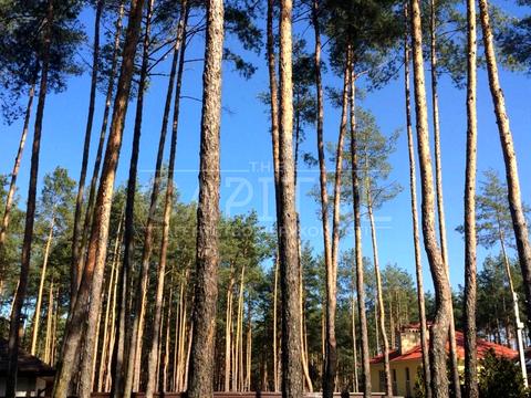 дом по адресу Бучанський