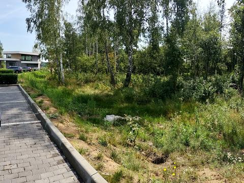 ділянка за адресою Кричевського, 25-Б