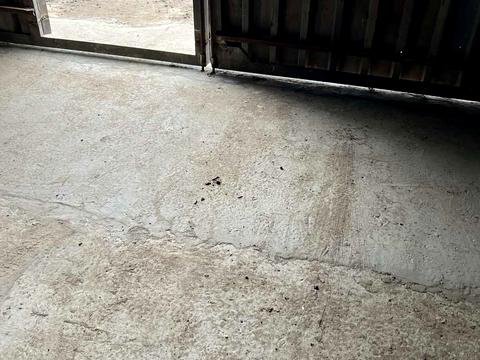 коммерческая по адресу Свободы просп., 19-А