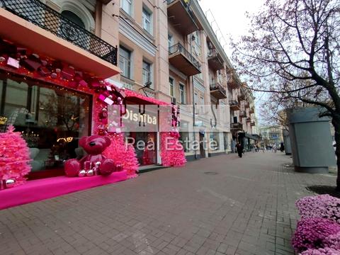 комерційна за адресою Велика Васильківська вул. (Червоноармійська), 23а