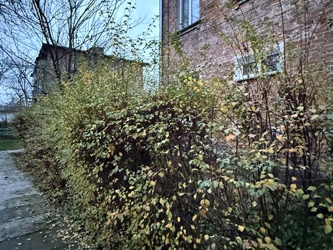 квартира по адресу Николая Зерова ул. (Пархоменка), 20