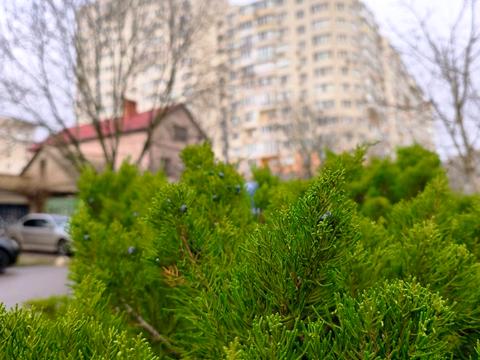 квартира за адресою Костанді вул., 162/6