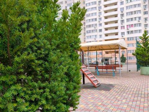 квартира за адресою Костанді вул., 162/6