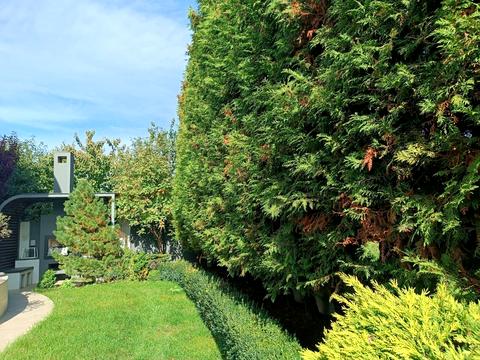 ділянка за адресою Педагогічна вул., 1