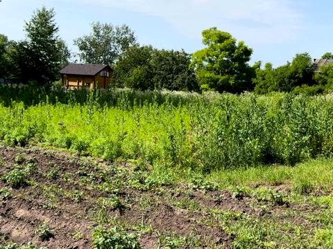 дом по адресу Центральний провулок, 9