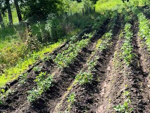 дом по адресу Центральний провулок, 9