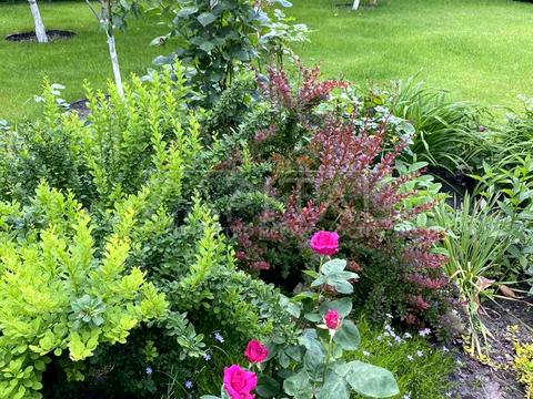 будинок за адресою Шевченка вул.