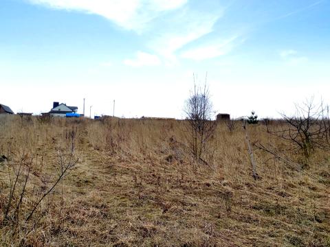 ділянка за адресою СТ Грузевицький-1