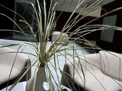 коммерческая по адресу Софиевская ул., 1Б