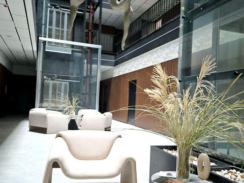 коммерческая по адресу Софиевская ул., 1Б