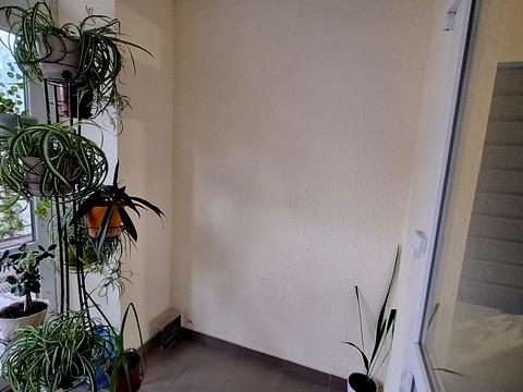 квартира за адресою Відродження вул., 7