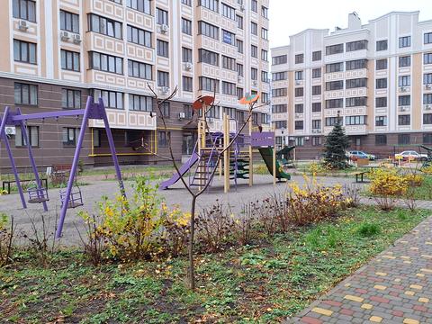 квартира за адресою Відродження вул., 7