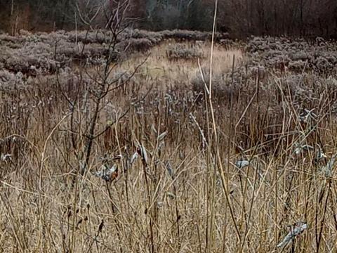 будинок за адресою Підгірна