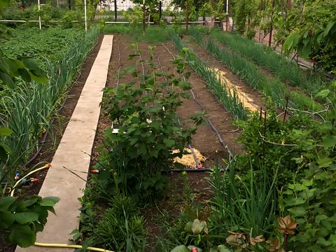 будинок за адресою Молодіжне