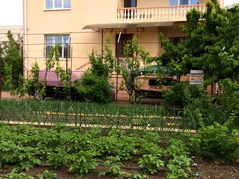 будинок за адресою Молодіжне