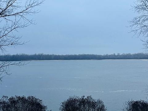 квартира за адресою Полковника Гегечкорі вул. (1905 року), 2