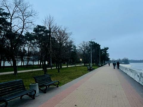 квартира за адресою Полковника Гегечкорі вул. (1905 року), 2