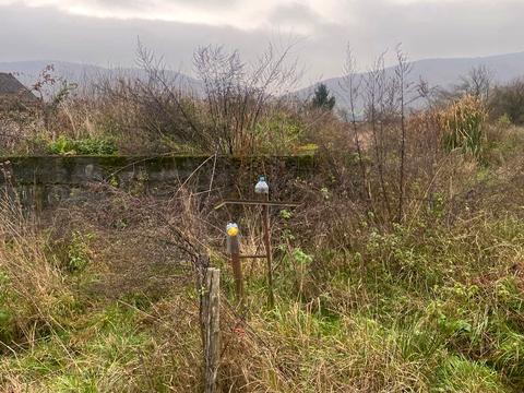 ділянка за адресою 