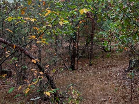 ділянка за адресою Полтавська