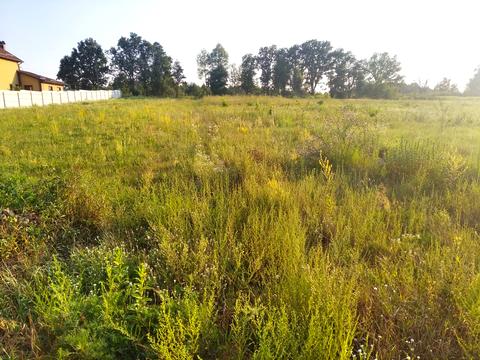 ділянка за адресою Полтавська