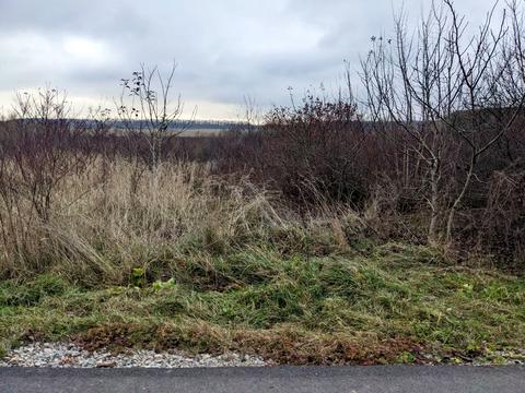 ділянка за адресою Кармелюка