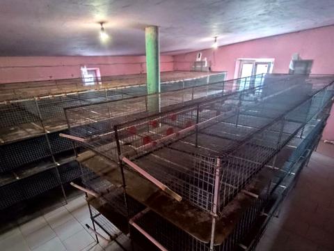 комерційна за адресою Центральна, 20