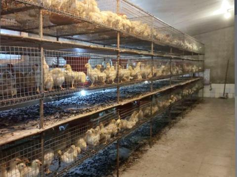 комерційна за адресою Центральна, 20