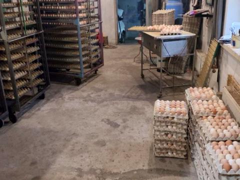 комерційна за адресою Центральна, 20