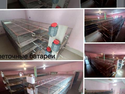 комерційна за адресою Центральна, 20