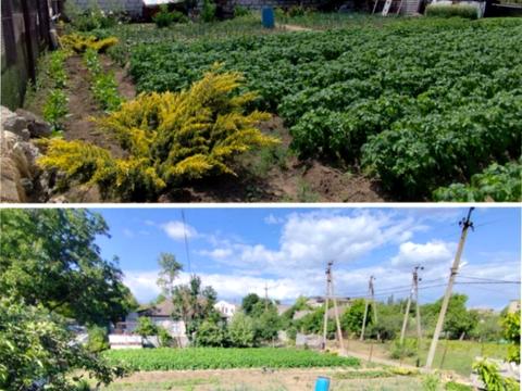 комерційна за адресою Центральна, 20