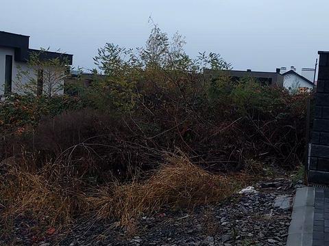 ділянка за адресою Іршавська вул.