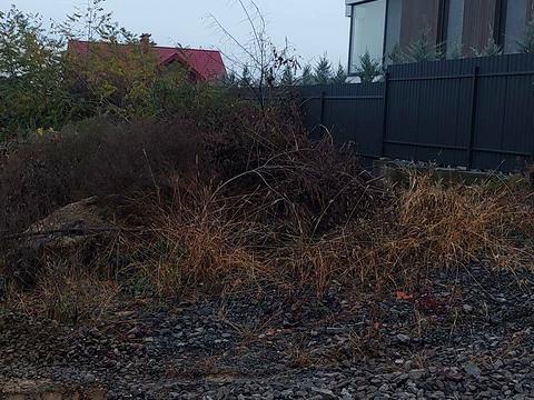 ділянка за адресою Іршавська вул.