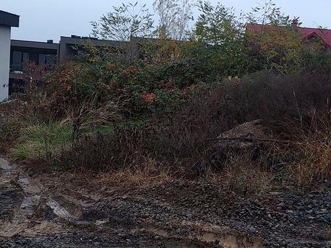 ділянка за адресою Іршавська вул.