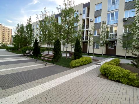 квартира за адресою Березова вул., 43