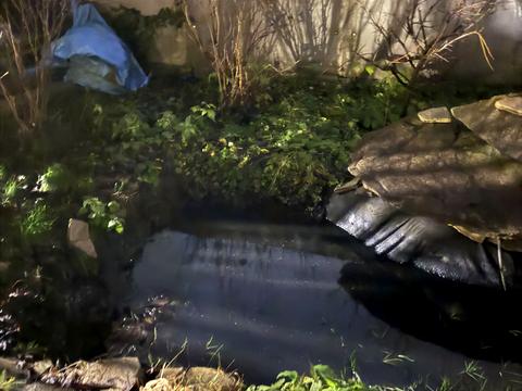 дом по адресу Южная ул., 42