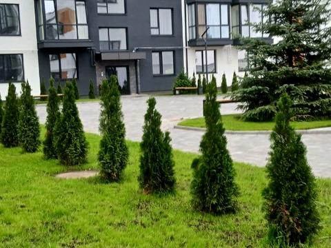 квартира за адресою Чарівний масив, 21