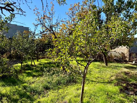 дом по адресу степовая