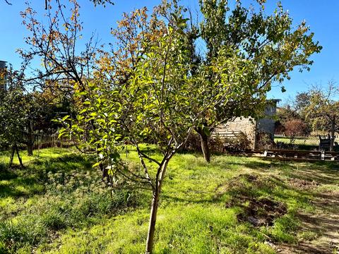 дом по адресу степовая