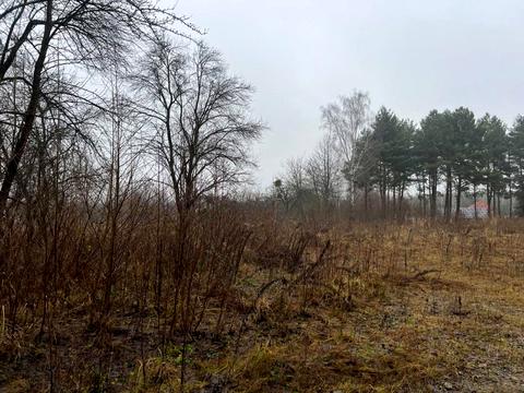 ділянка за адресою Лісна