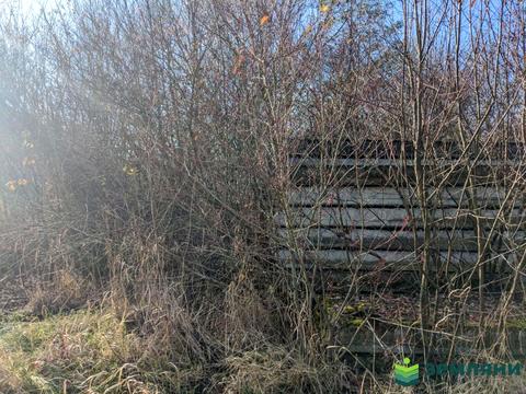 ділянка за адресою Барвиста