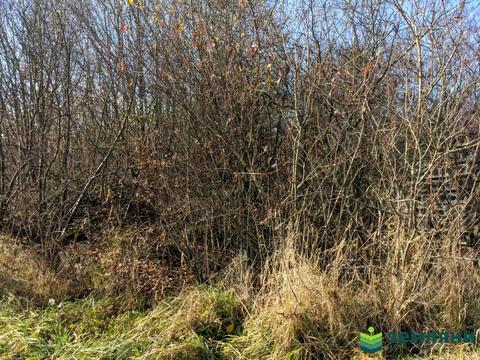 ділянка за адресою Барвиста