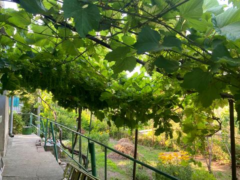 будинок за адресою Одеса, гладкова