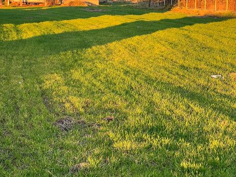 ділянка за адресою Миру